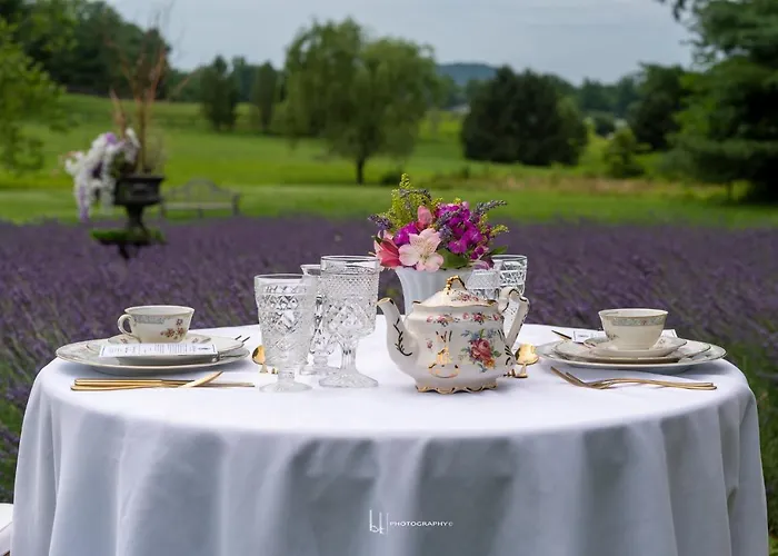 Lefay Cottage At Little Washington